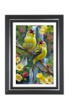 Goldfinch Birds Photo Frame | 10x14 Inch Black Designer Wall & Table Frame | Perfect for Gifting & Home Decor