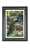 Peacock Photo Frame | 10x14 Inch Black Designer Wall & Table Frame | Perfect for Gifting & Home Decor