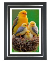 Yellow canary Photo Frame | 10x14 Inch Black Designer Wall & Table Frame | Perfect for Gifting & Home Decor