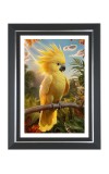 Yellow Cockatoo Photo Frame | 10x14 Inch Black Designer Wall & Table Frame | Perfect for Gifting & Home Decor Yellow Cockatoo Photo Frame | 10x14 Inch Black Designer Wall & Table Frame | Perfect for Gifting & Home Decor