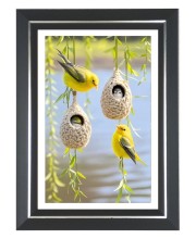Yellow warbler Photo Frame | 10x14 Inch Black Designer Wall & Table Frame | Perfect for Gifting & Home Decor