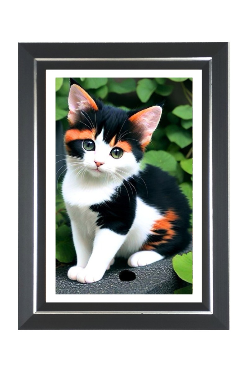 Cat Photo Frame | 10x14 Inch Black Designer Wall & Table Frame | Perfect for Gifting & Home Decor