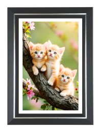 Three kittens Photo Frame | 10x14 Inch Black Designer Wall & Table Frame | Perfect for Gifting & Home Decor