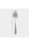 Stainless Steel Spoon