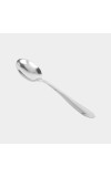 Stainless Steel Spoon