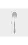 Stainless Steel Spoon