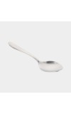 Stainless Steel Spoon
