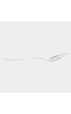 Stainless Steel Spoon