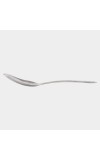 Stainless Steel Serving Spoon