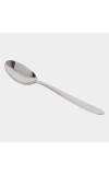 Stainless Steel Spoon