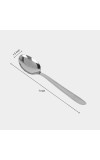 Stainless Steel Spoon