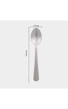 Stainless Steel Spoon