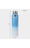 1 L Stainless Steel Bottle