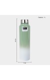 1 L Stainless Steel Bottle