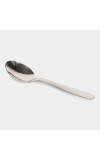 Steel Spoon