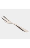 Stainless Steel Fork Set of 4