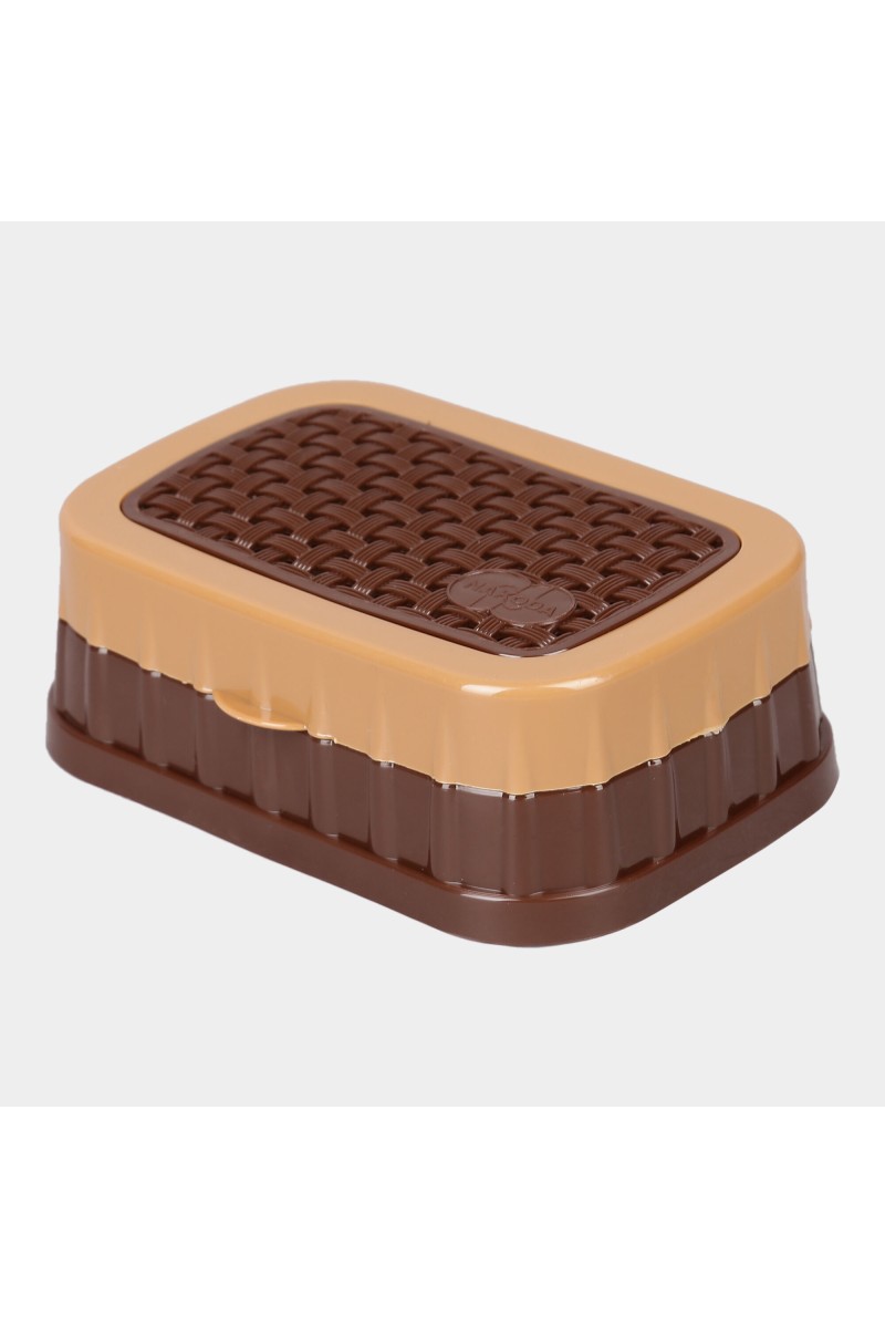 Plastic Soap Dish With Lid