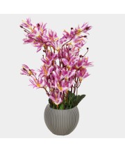 Plastic Artificial Plant