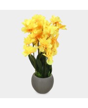 Plastic Artificial Plant